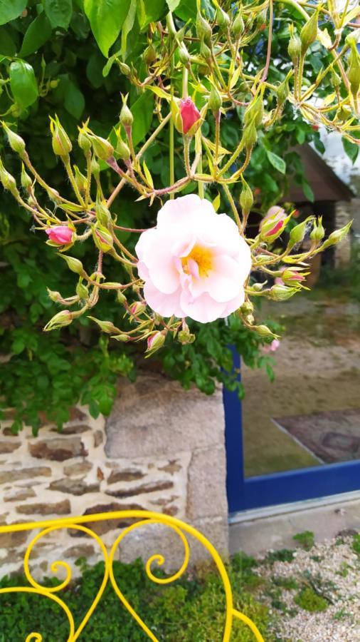 Ker Anahid - L'Atelier Bed and Breakfast Pleslin-Trigavou Εξωτερικό φωτογραφία
